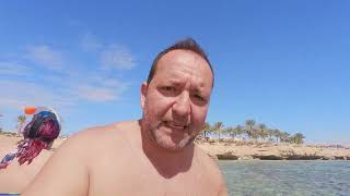 Veratour Sharm Club Veraclub Reef Hotel Recensione 200 nomi c ha [upl. by Akselav272]