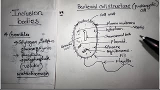 Unit 2 Bacteria Cell Structure  BSc Botany 1st Semester notes Gauhati University [upl. by Tergram764]