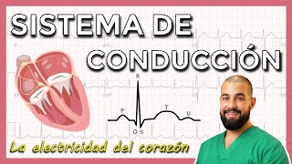 Sistema eléctrico del CORAZÓN [upl. by Barboza]