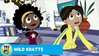 WILD KRATTS  Looking for Lost Martin  PBS KIDS [upl. by Howund]