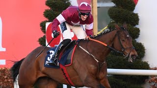 Champion Bumper hope Jalon DOudairies looks exciting at Leopardstown [upl. by Bock]