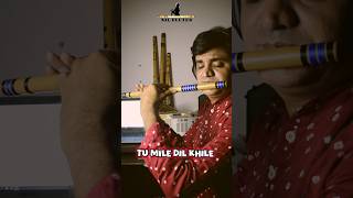 tumiledilkhile flute shortsmusic [upl. by Lek390]