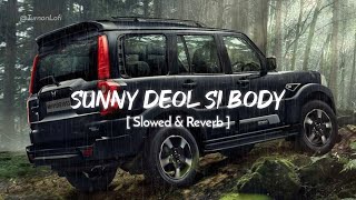 Sunny Deol Si Body Re  Slowed amp Reverb  Raju Punjabi  Choudhar Jaat Ki Latest Haryanvi Song [upl. by Porush283]