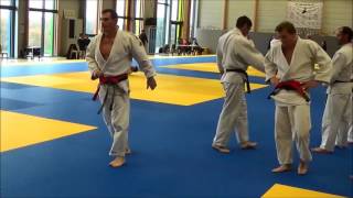 Tournoi Judo Masters Vétérans Chateaubriant le 20 11 2016 [upl. by Aner]