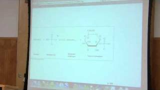 Glycogen Metabolism by Kevin Ahern Part 1 of 4 [upl. by Myrtle]