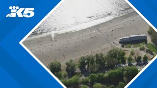 3 Seattle beaches are closed due to high bacteria levels heres what that means for parkgoers [upl. by Iva263]