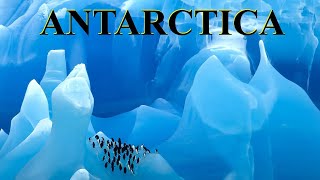 Flat Earth Clues  Antarctica ✅ [upl. by Clementia]