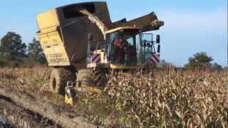 Ensileuse New holland articulé condition humide [upl. by Gnap]