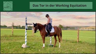 Das Tor in der Working Equitation [upl. by Lyrpa930]