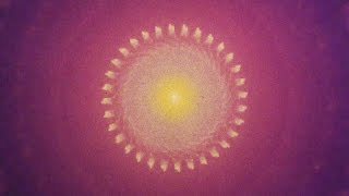 Francesco Berta  Particles and Fractals Official Video [upl. by Pickford]