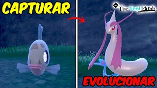 ✨COMO CAPTURAR FEEBAS amp EVOLUCIONAR A MILOTIC en NOROTEO POKEMON ESCARLATA y PURPURA DLC [upl. by Martha]