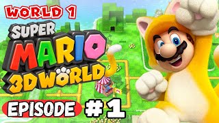 Super Mario 3D World 100 Walkthrough  World 1 Complete Episode 1 [upl. by Laohcin553]