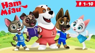 Ham Miau 🐶 ep 110 🐱 Desene animate pentru copii  HeyKids [upl. by Lerrehs]