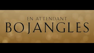 EN ATTENDANT BOJANGLES  Bandeannonce VF Virginie Efira Romain Duris et Grégory Gadebois [upl. by Anitniuq]