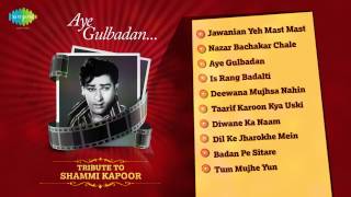 Shammi Kapoor Hit Songs Jukebox  Yeh Chand Sa Roshan Chehra amp More  Hit Romantic Hindi Songs [upl. by Lokcin49]