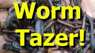 Worm Tazer Catching tons of earthworms for bait with electricity [upl. by Eckhardt]