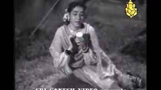 Kannada song  Amara Madhura Prema  PSusheela [upl. by Clementas]