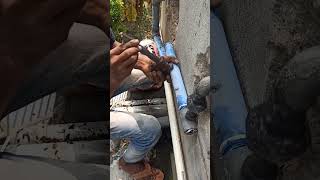 PVC pipe change cpvc pipe fittings plumber trending [upl. by Leahcimaj]