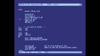 Amiga Hardware Programming 13  Introducing the Blitter [upl. by Kudva]