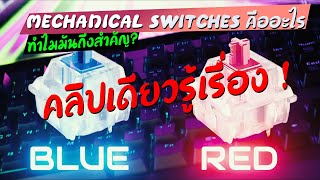 Mechanical switches คืออะไร แล้วทำไมมันถึงสำคัญ   EGA ZONE [upl. by Sidhu]