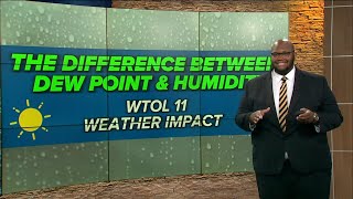 The difference between dew point and humidity  WTOL 11 Weather Impact [upl. by Miran]