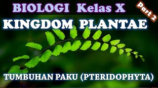 KINGDOM PLANTAE Part 2  Tumbuhan Paku Pteridophyta  Biologi SMA Kelas X IPA [upl. by Maynard]