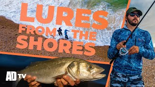 Lure Fishing For BASS From The BEACH  A Day With Savage Gear [upl. by Schwerin]