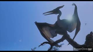 Pteranodon Sound Effects [upl. by Ainex]