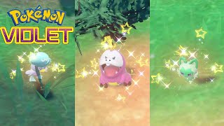 All Paldea Gen 9 Shiny Starters  Pokemon Scarlet and Violet [upl. by Natsirk555]