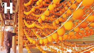 How Japanese Produce Millions Of Dried Persimmon Hoshigaki  Persimmon Harvesting HappyFarm85​ [upl. by Heilner]