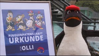 PinguinPatenschaft in den Spreewelten in Lübbenau [upl. by Eiclehc]