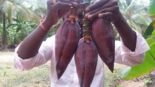 Cooking Crispy Banana Flower Pakoda in My Village  Wow Taste [upl. by Aniaz476]