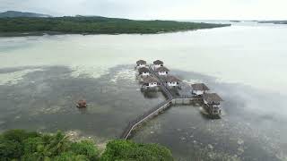 Drone Aerial video of the famous Para Nuii in the island garden of Pohnpei Ponape State FSM [upl. by Ariela]