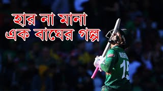 হার না মানা এক বাঘ মুশফিক  Mushfiqur Rahim Mr Dependable of Bangladesh Cricket  Bissoy Bangla [upl. by Lenee]