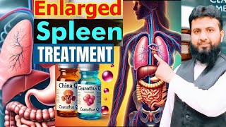 Enlarged spleen treatment in homeopathy•ChinaQCeoanthusQ [upl. by Kessia]