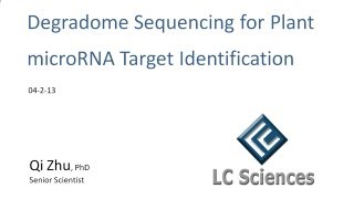 Webinar  Degradome Sequencing for Plant microRNA Target Identification [upl. by Burdelle]