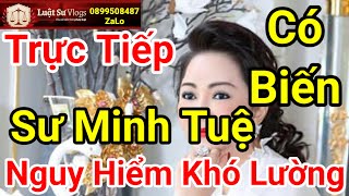 🔴 Sư Thích Minh Tuệ Muốn Bỏ Đi Ấn Độ Được Lên Báo Ceo Nguyễn Phương Hằng Tố Cáo  Luật Sư Vlogs [upl. by Retsevlys926]