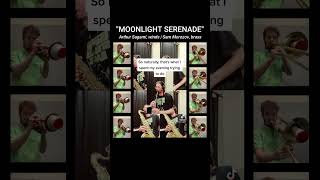 MOONLIGHT SERENADE 🌙🎶 feat Arthur Sagami  Jazz Band Cover [upl. by Denis]