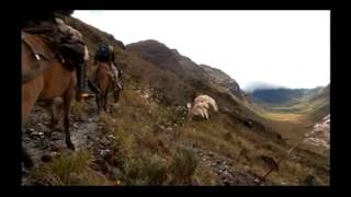 Reportaje al Perú Gran Pajatén el tesoro de los chachapoyas  cap 2 [upl. by Darrick]