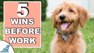 Your 10 Minute Morning Puppy Training Plan [upl. by Shayna]