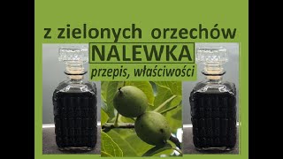 Nalewka z zielonych orzechów włoskich  orzechówka  przepis właściwości [upl. by Aniehs]