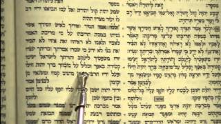 Torah Reading Simchat Torah Rabbi Weisblum קריאת התורה שמחת תורה זאת הברכה [upl. by Lemal]