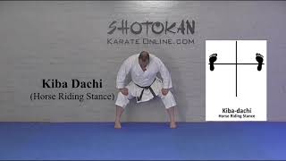 Kiba Dachi Shotokan Karate Stances [upl. by Belamy]