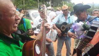 Folia de Reis Caconde [upl. by Lenahtan]