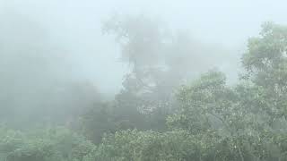 Tagaytay SB  Cliff View  Foggy [upl. by Annoel]