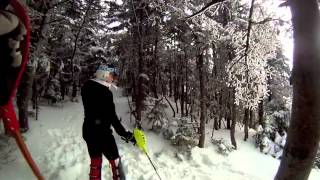 Harvard Alpine Skiing [upl. by Htnicayh]