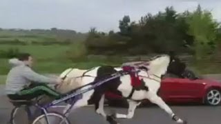 Dramatic footage of travellers racing horses on busy road in Cork [upl. by Latimore]