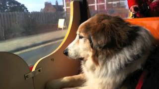 Hunstanton Land Train [upl. by Nairred316]