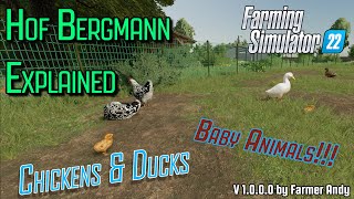 👨🏼‍🌾 FS22 Hof Bergmann Explained 👨🏼‍🌾 Chickens amp Ducks Chicks amp Ducklings [upl. by Lah123]