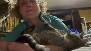 Video of adoptable pet named Axle [upl. by Arelc]